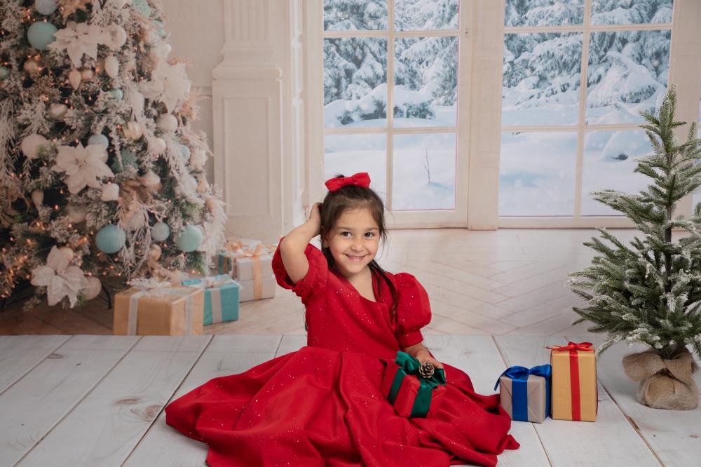 Kate Christmas Window White Winter Backdrop for Photography -UK