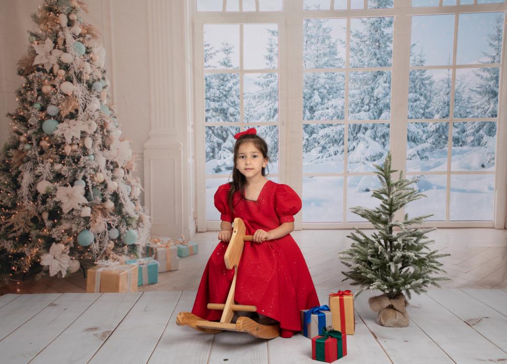 Kate Christmas Window White Winter Backdrop for Photography -UK