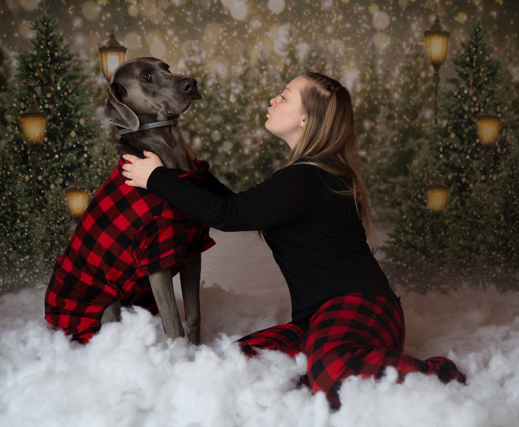 Kate Christmas Snow Forest Lights Fleece Backdrop for Photography -UK