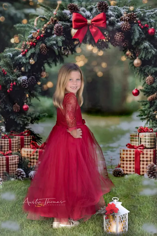Kate Christmas Arch Gift Boxes Forest Backdrop Designed by Emetselch -UK
