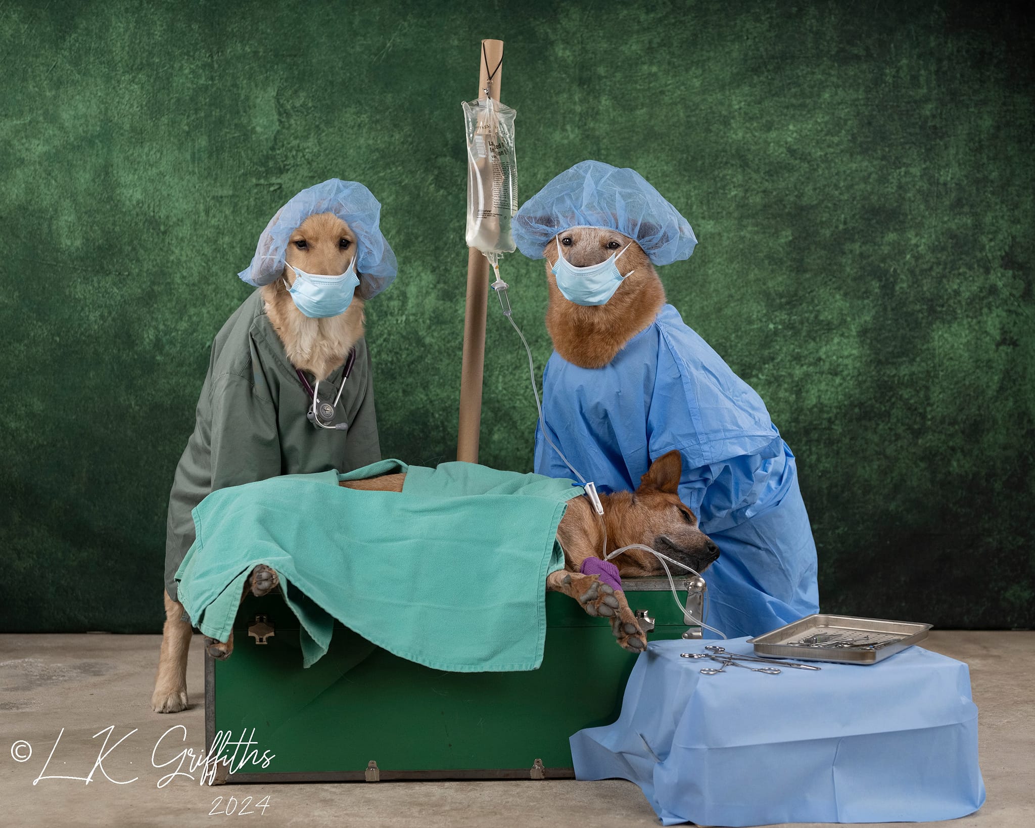 Kate Dark Green Abstract Backdrop Designed by Kate Image -UK