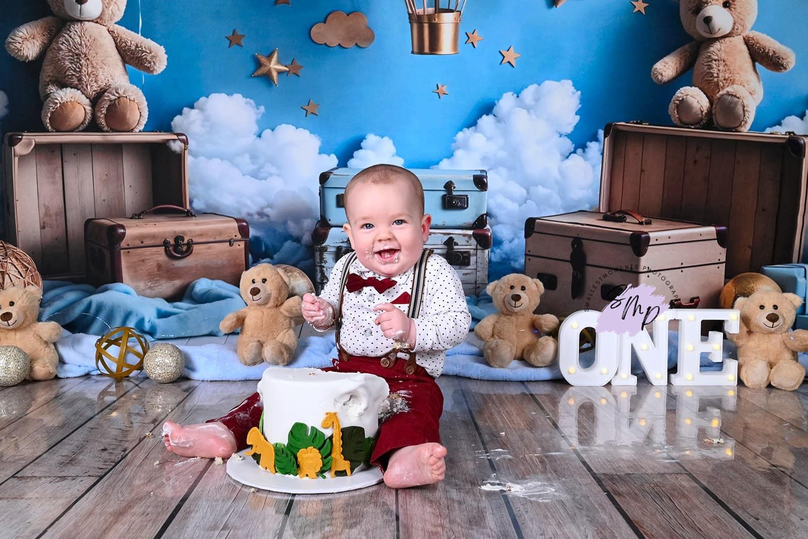 Kate Cartoon Hot Air Balloon Teddy Bear Blue Backdrop Designed by Emetselch -UK