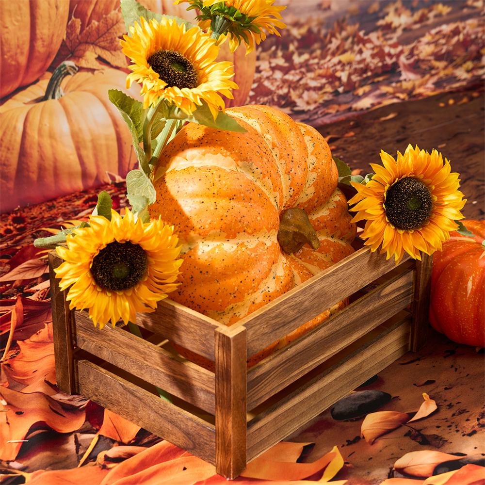 Kate Autumn Sunflowers Arch Pumpkin Photo Kit -UK
