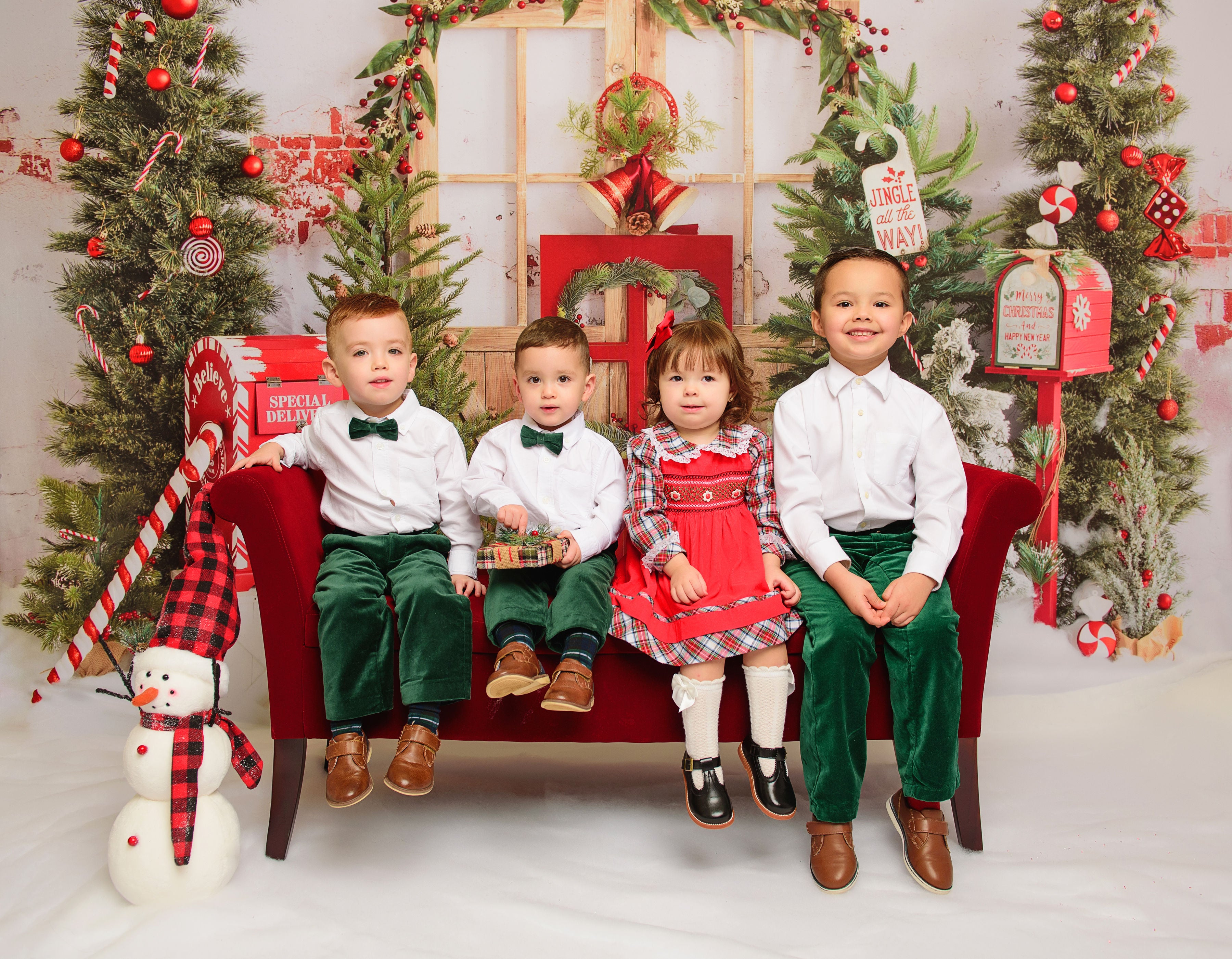 Kate Christmas Backdrop Snow Mailbox Designed by Emetselch -UK