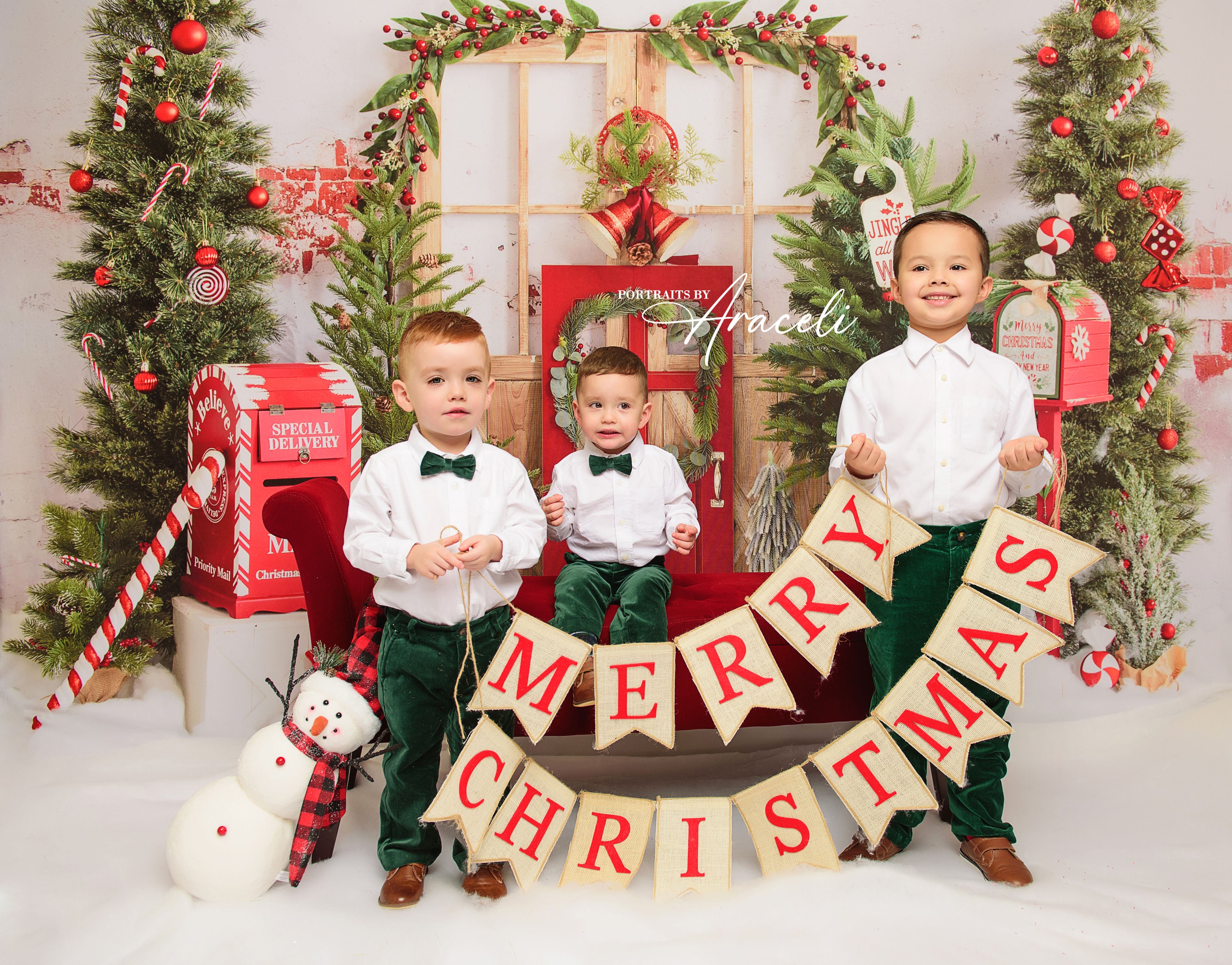 Kate Christmas Backdrop Snow Mailbox Designed by Emetselch -UK