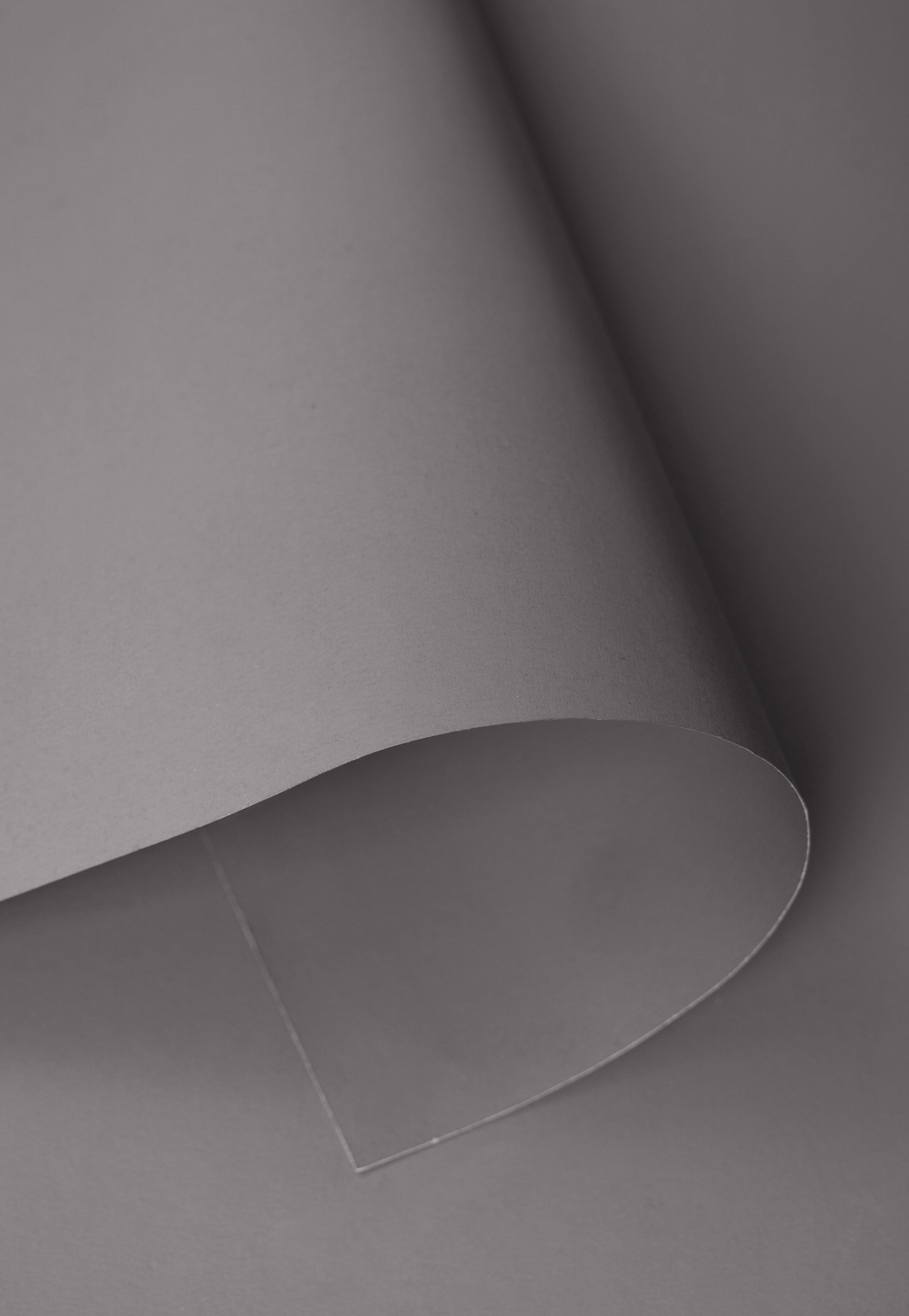Kate Neutral Grey Seamless Paper Backdrop for Photography -UK