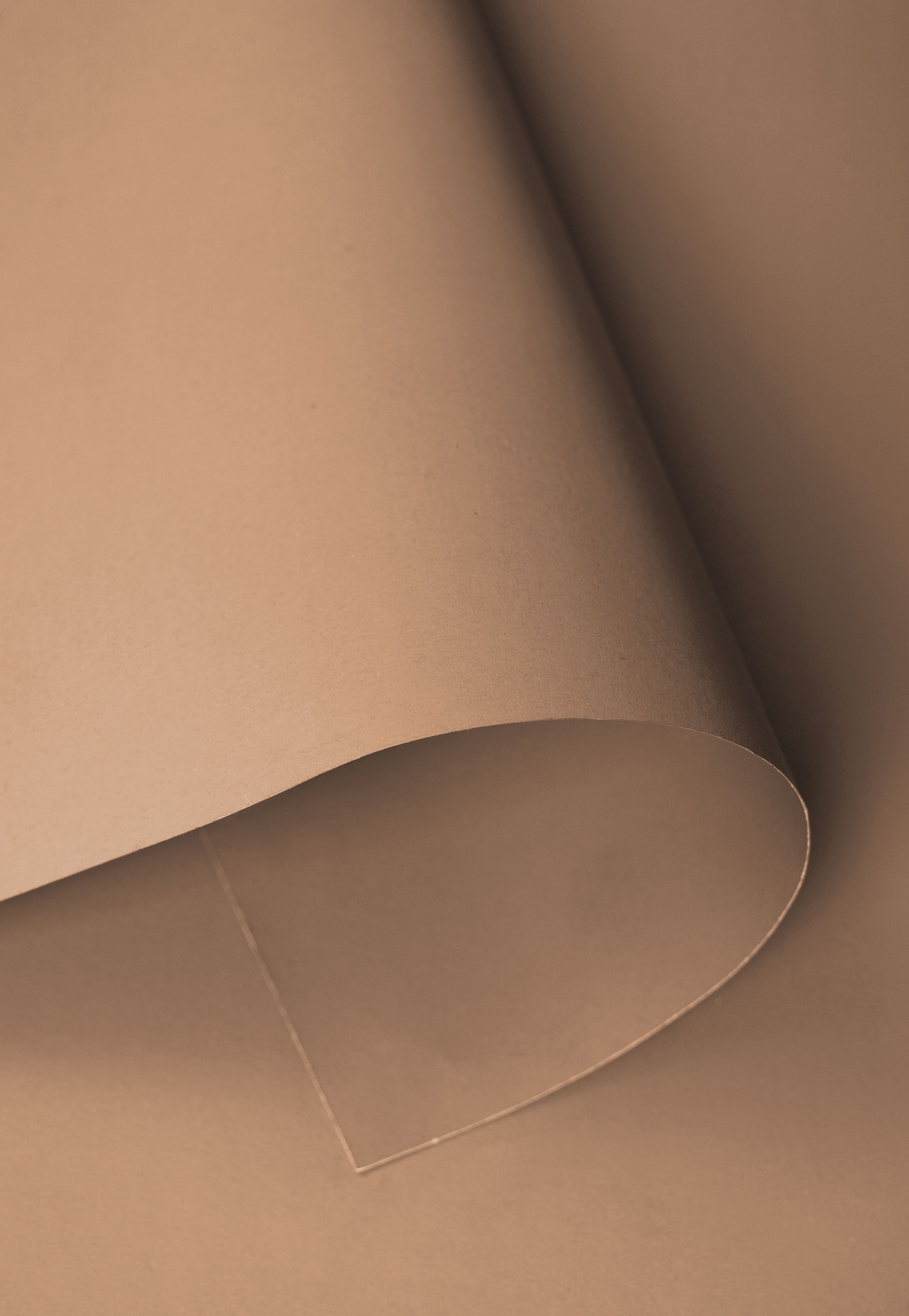 Kate Dark Beige Brown Seamless Paper Backdrop for Photography -UK