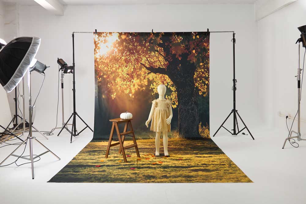 Kate Autumn Park Garden Photo Kit -UK