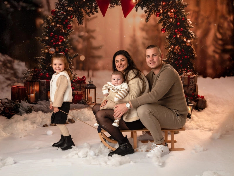 Kate Christmas Arch Bow Forest Gift Backdrop Designed by Emetselch -UK