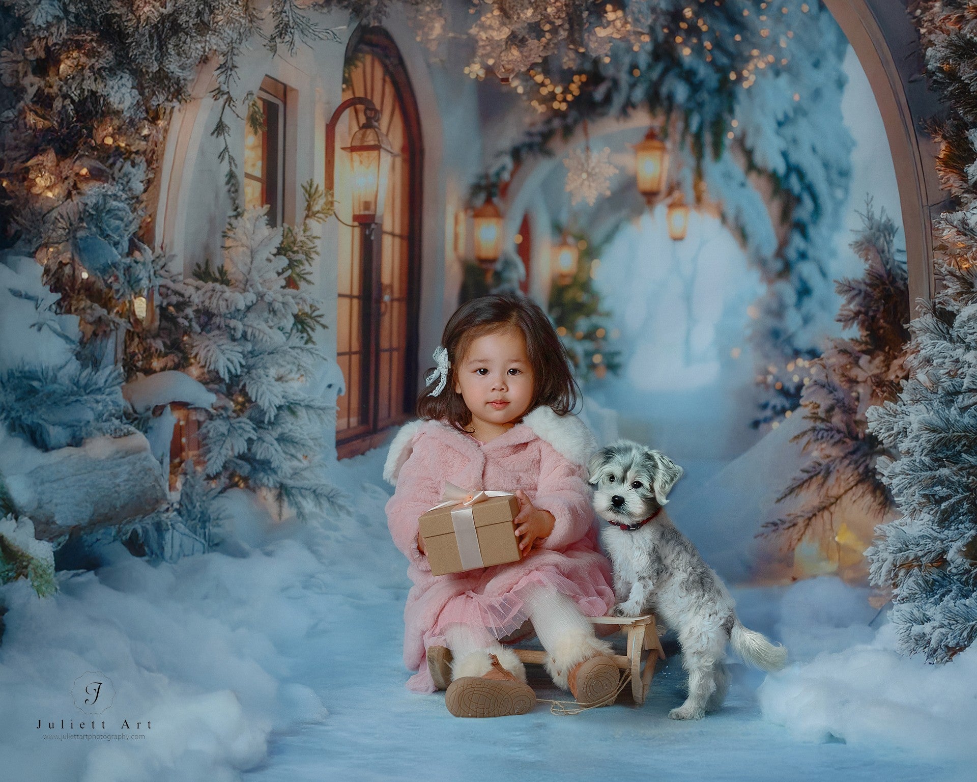 Kate Winter Snowy Christmas Arch Hallway Backdrop Designed by Emetselch -UK