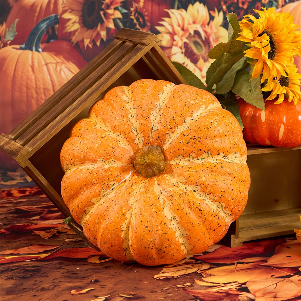 Kate Autumn Sunflowers Arch Pumpkin Photo Kit -UK