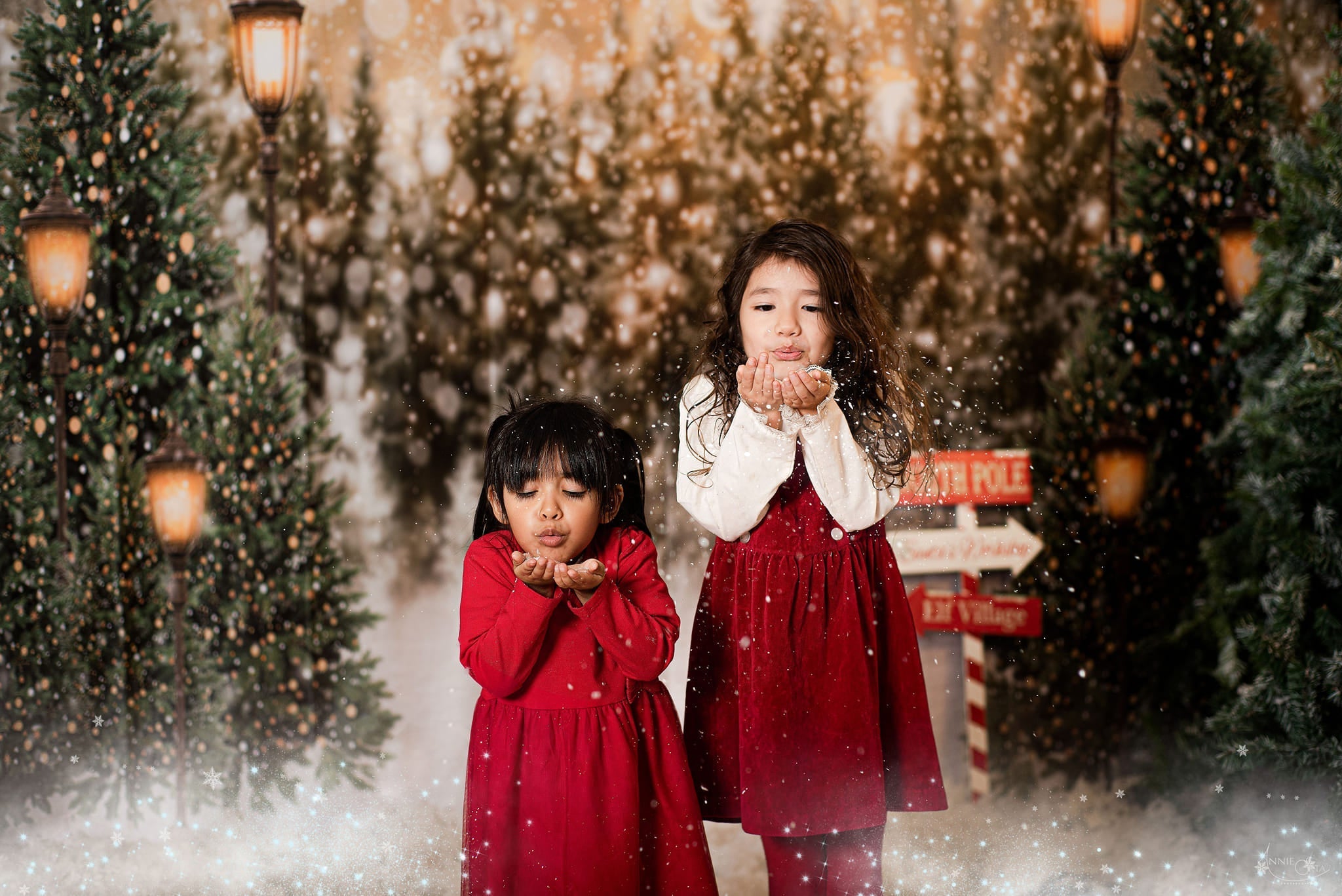 Kate Christmas Snow Forest Lights Fleece Backdrop for Photography -UK