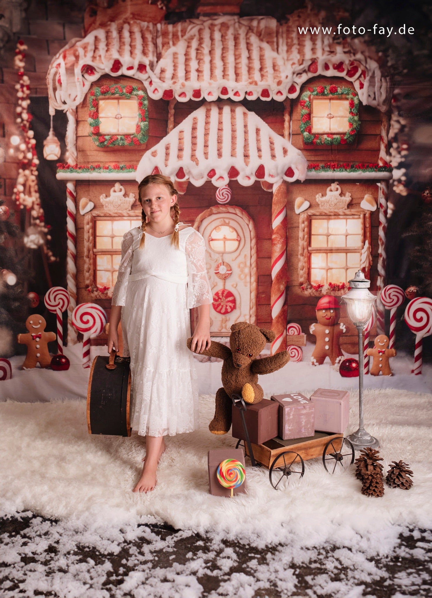 Kate Christmas Winter Gingerbread House Backdrop Designed by Chain Photography -UK