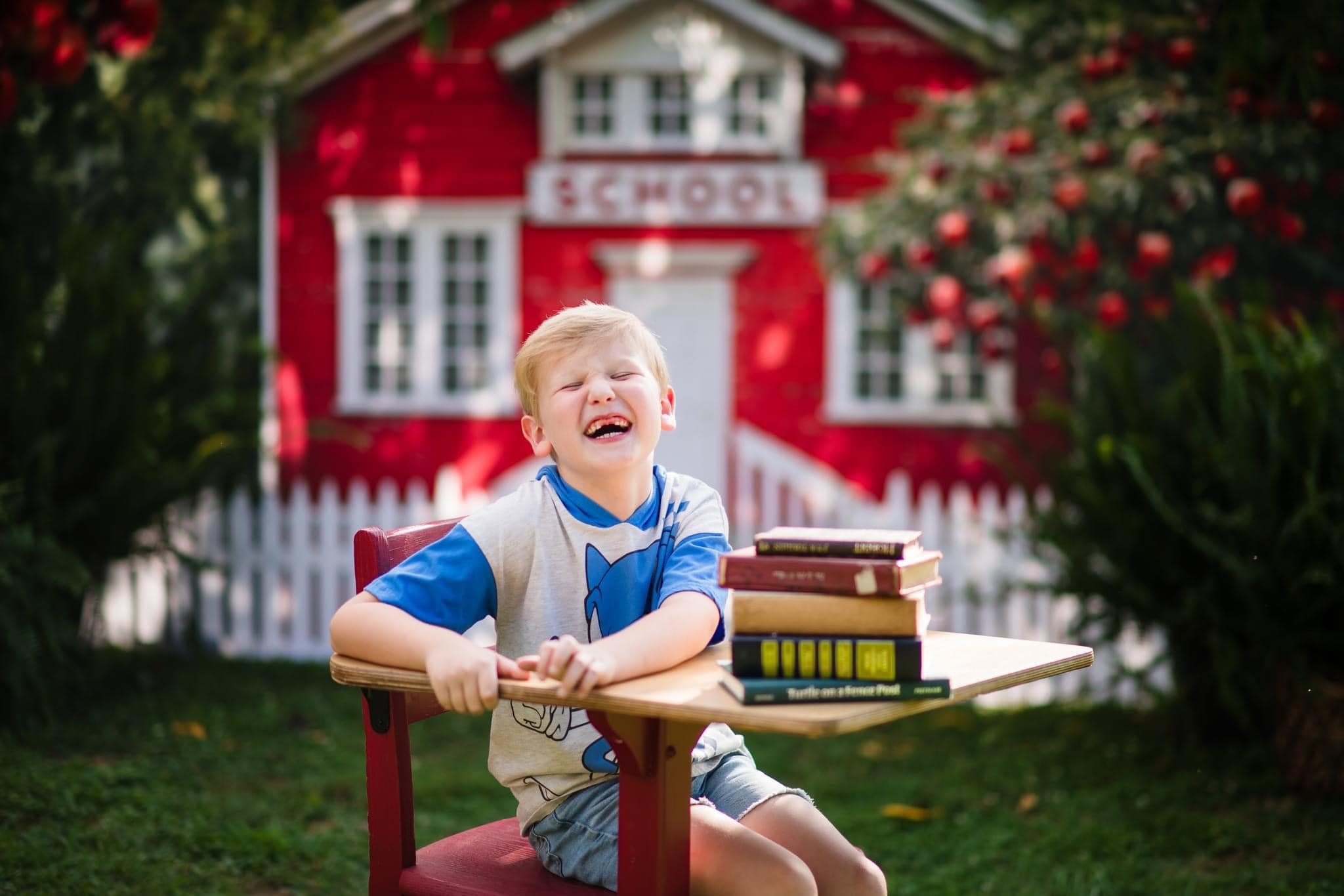 Kate Back to School Red House Apple Tree Fence Backdrop Designed by Chain Photography -UK