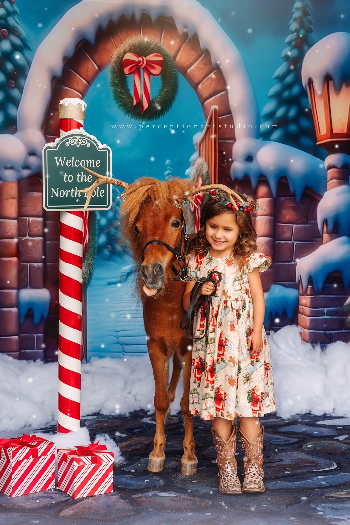 Kate Winter Christmas Holiday Gate Snow Backdrop Designed by Candice Compton