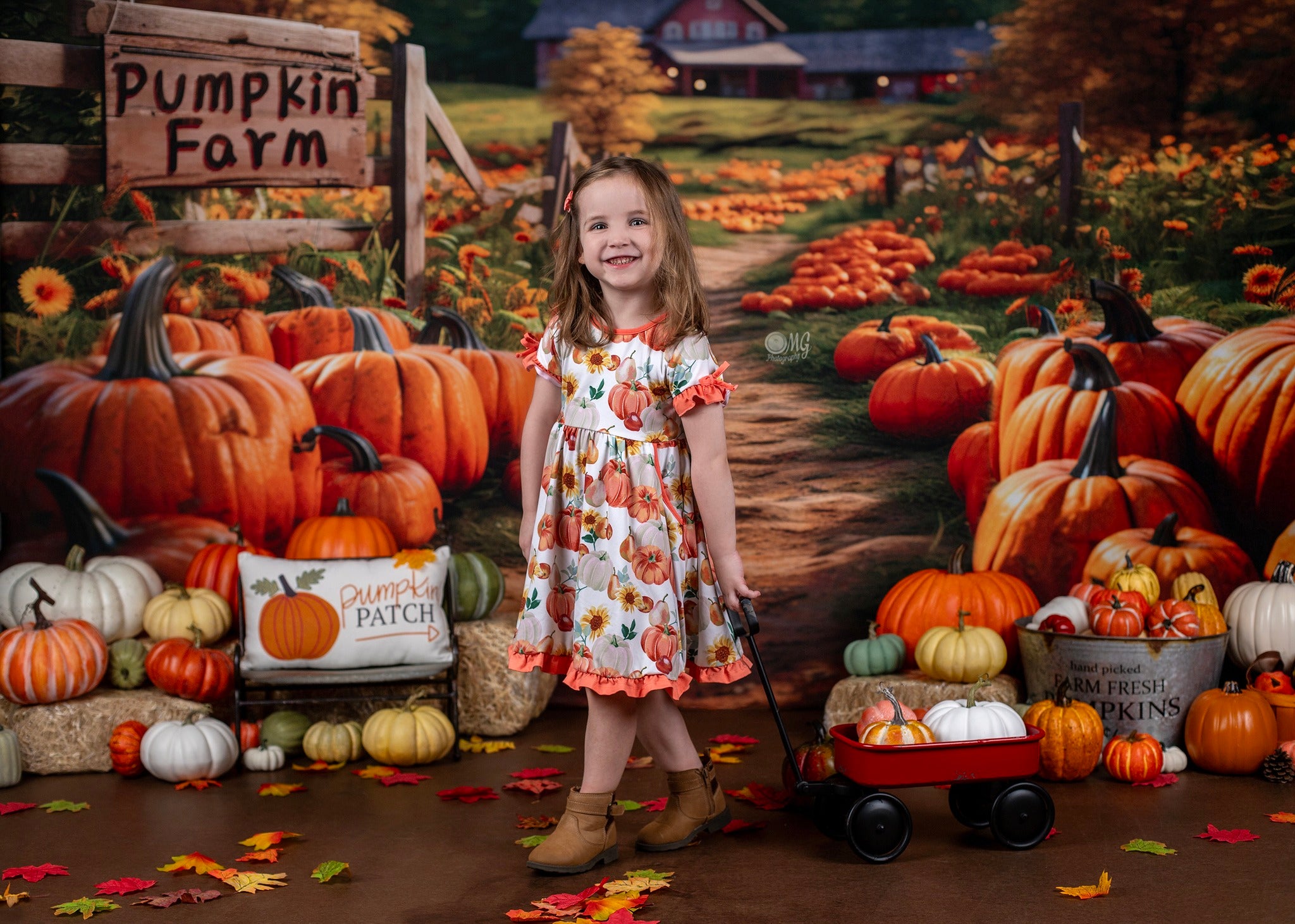 Kate Autumn Pumpkin Farm Backdrop Designed by Emetselch -UK