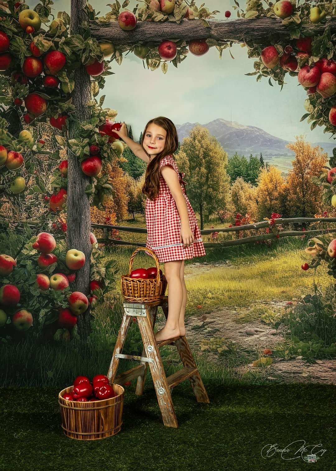 Kate Summer/Autumn Apple Arch Farm Backdrop Designed by Angela Marie Photography -UK