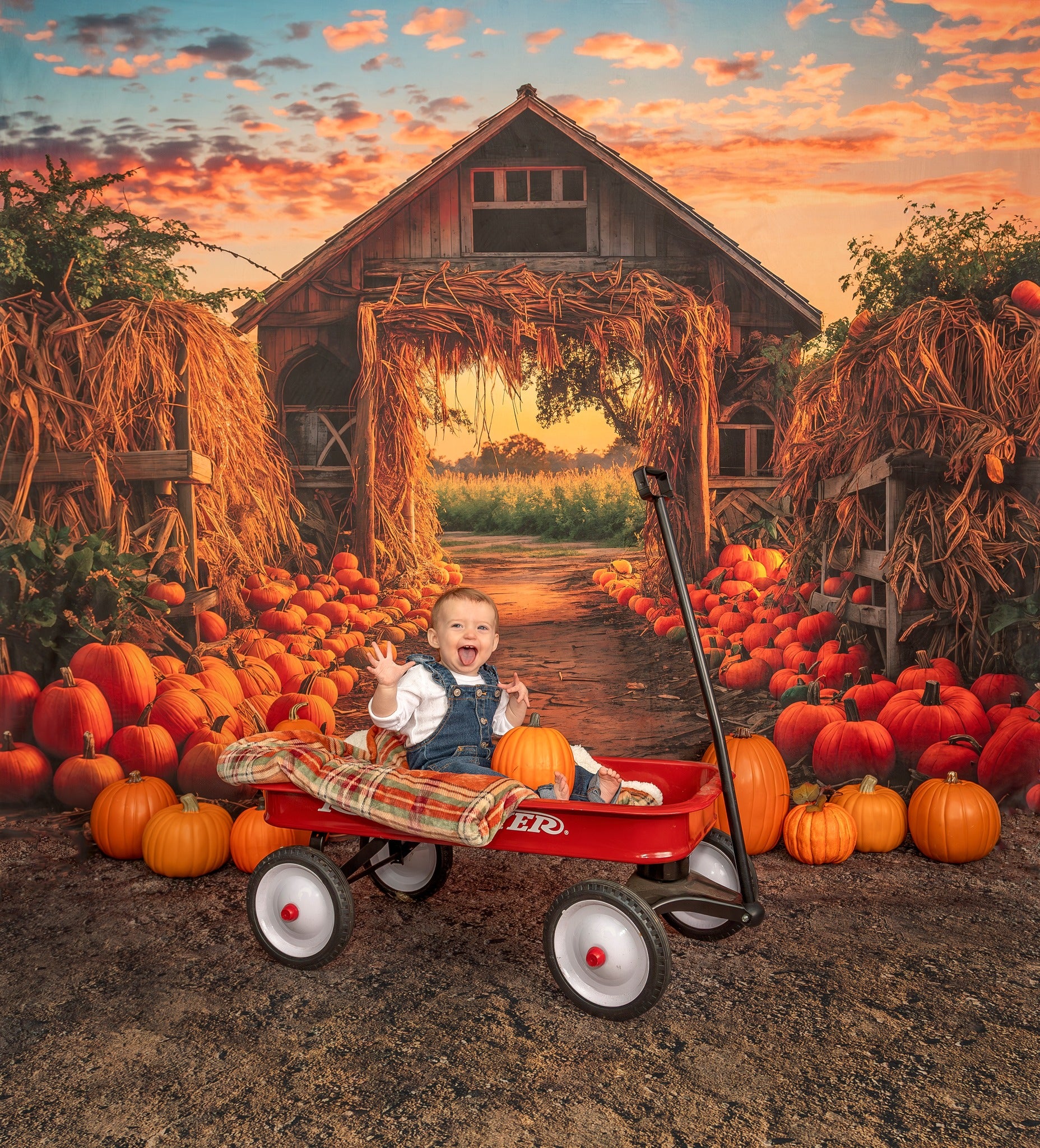 Kate Autumn Pumpkin Farm Backdrop for Photography -UK