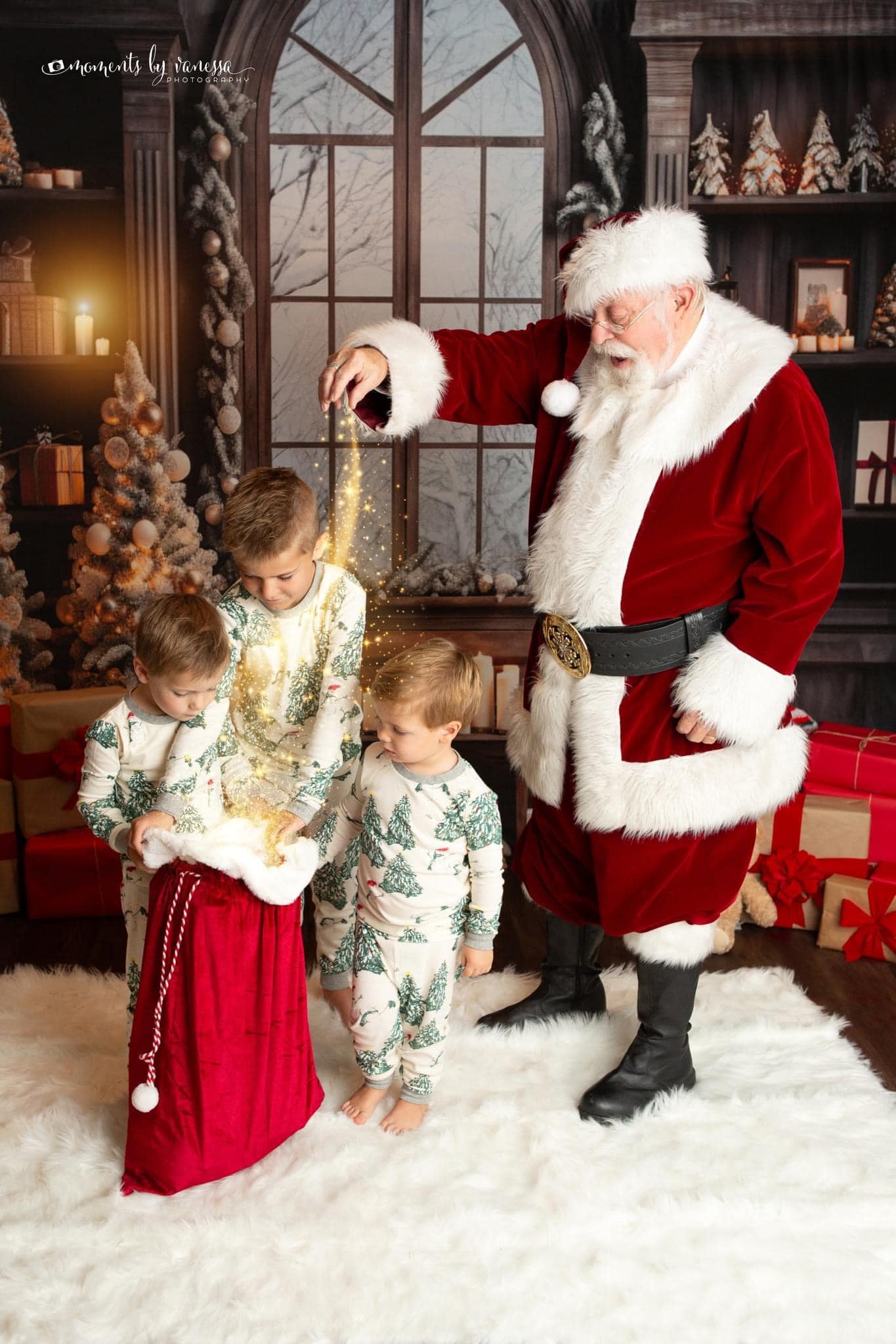 Kate Christmas Window Tree Teddy Bear Backdrop Designed by Emetselch -UK