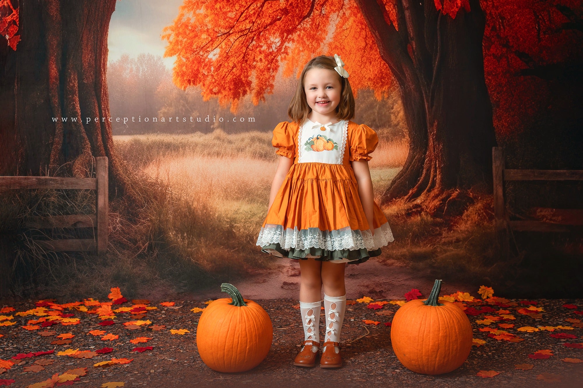 Kate Autumn Tree Backdrop for Photography -UK