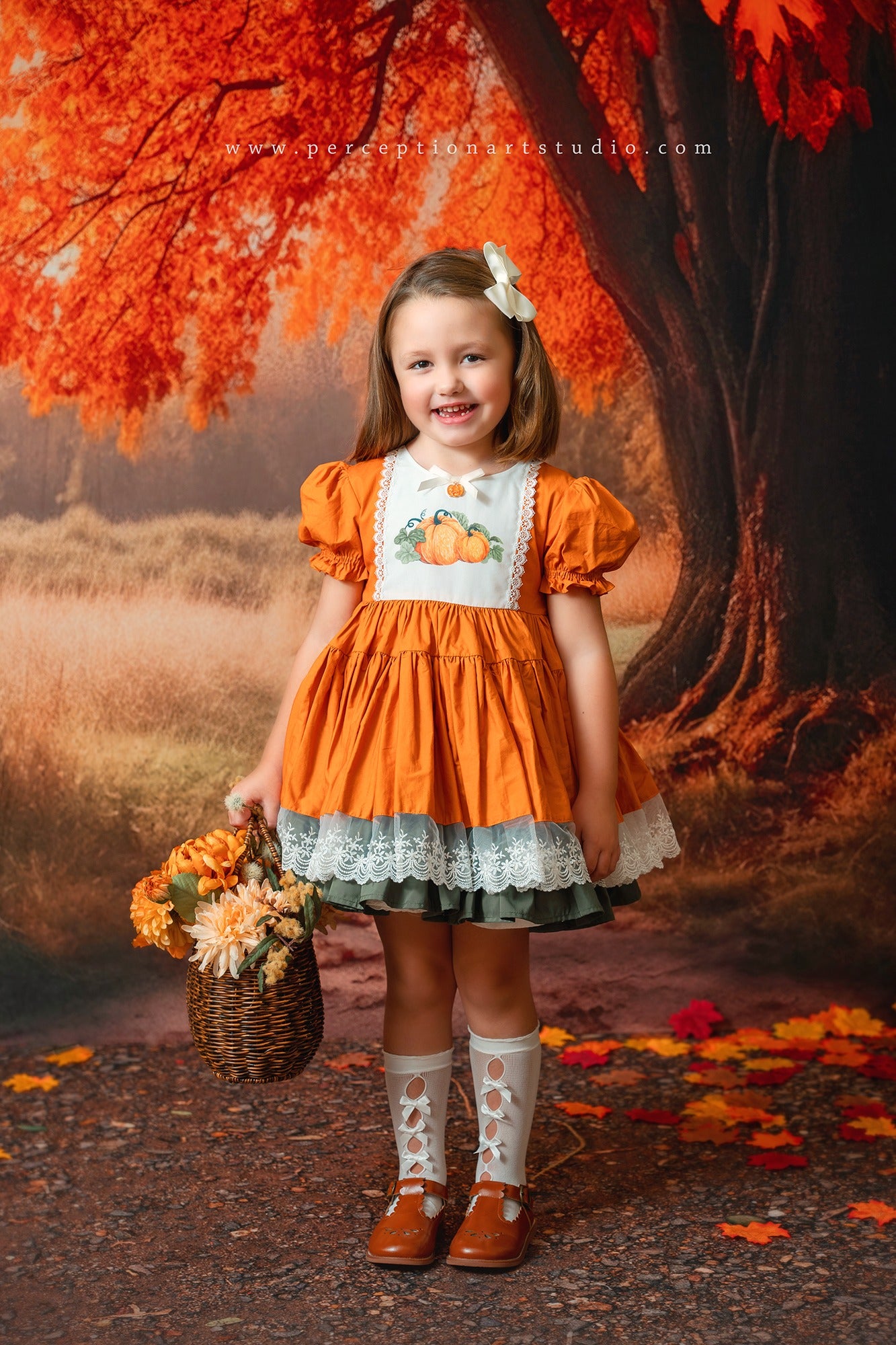 Kate Autumn Tree Backdrop for Photography