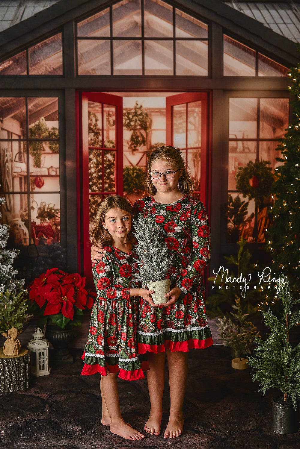 Kate Christmas Holiday Greenhouse Backdrop Designed by Mandy Ringe Photography -UK