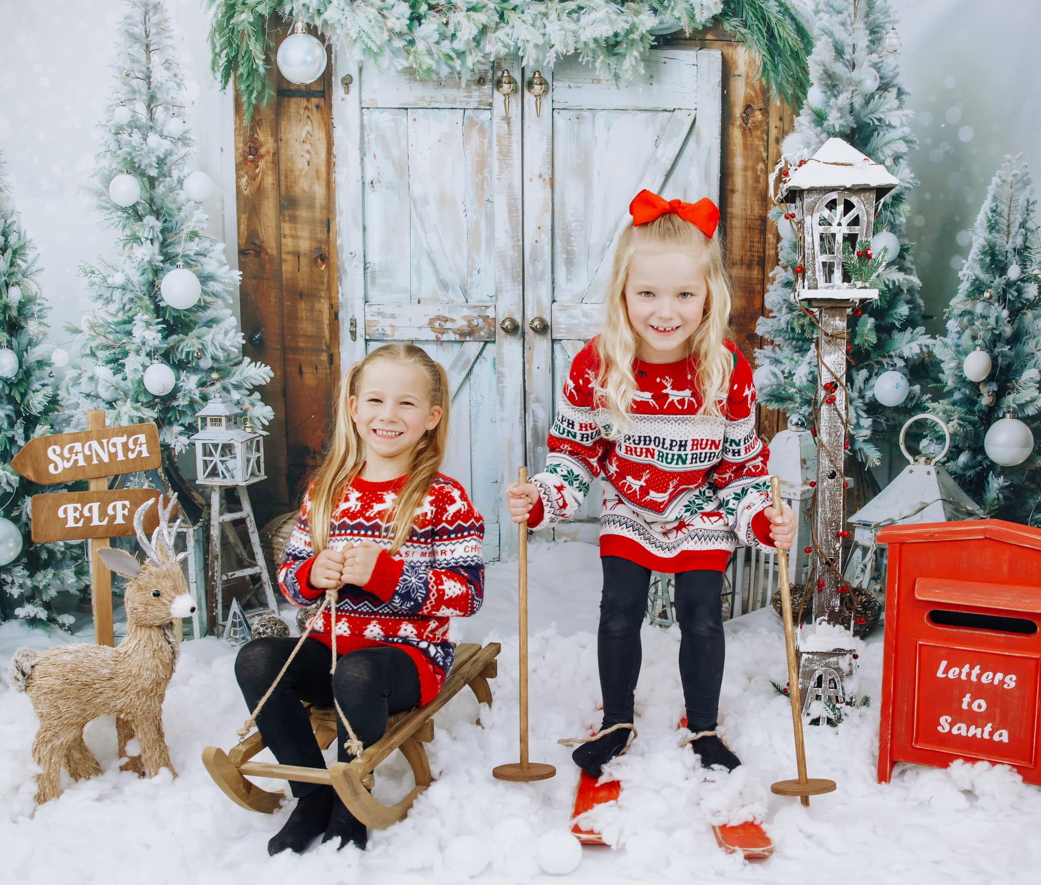 Kate Christmas Barn Door Tree Snow Backdrop Designed by Emetselch