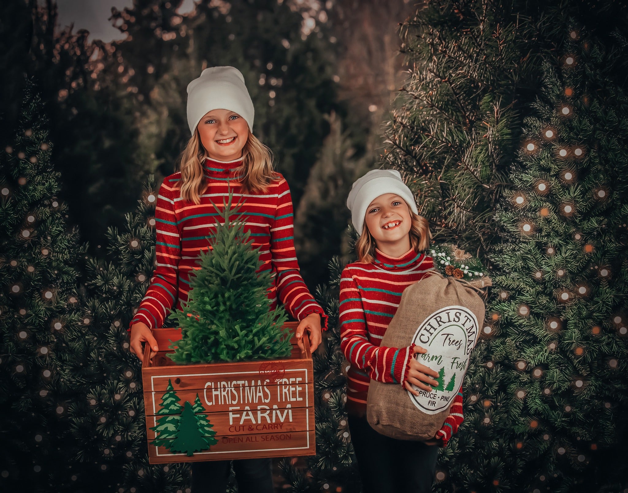 Kate Christmas Outdoor Trees Snow Backdrop for Photography