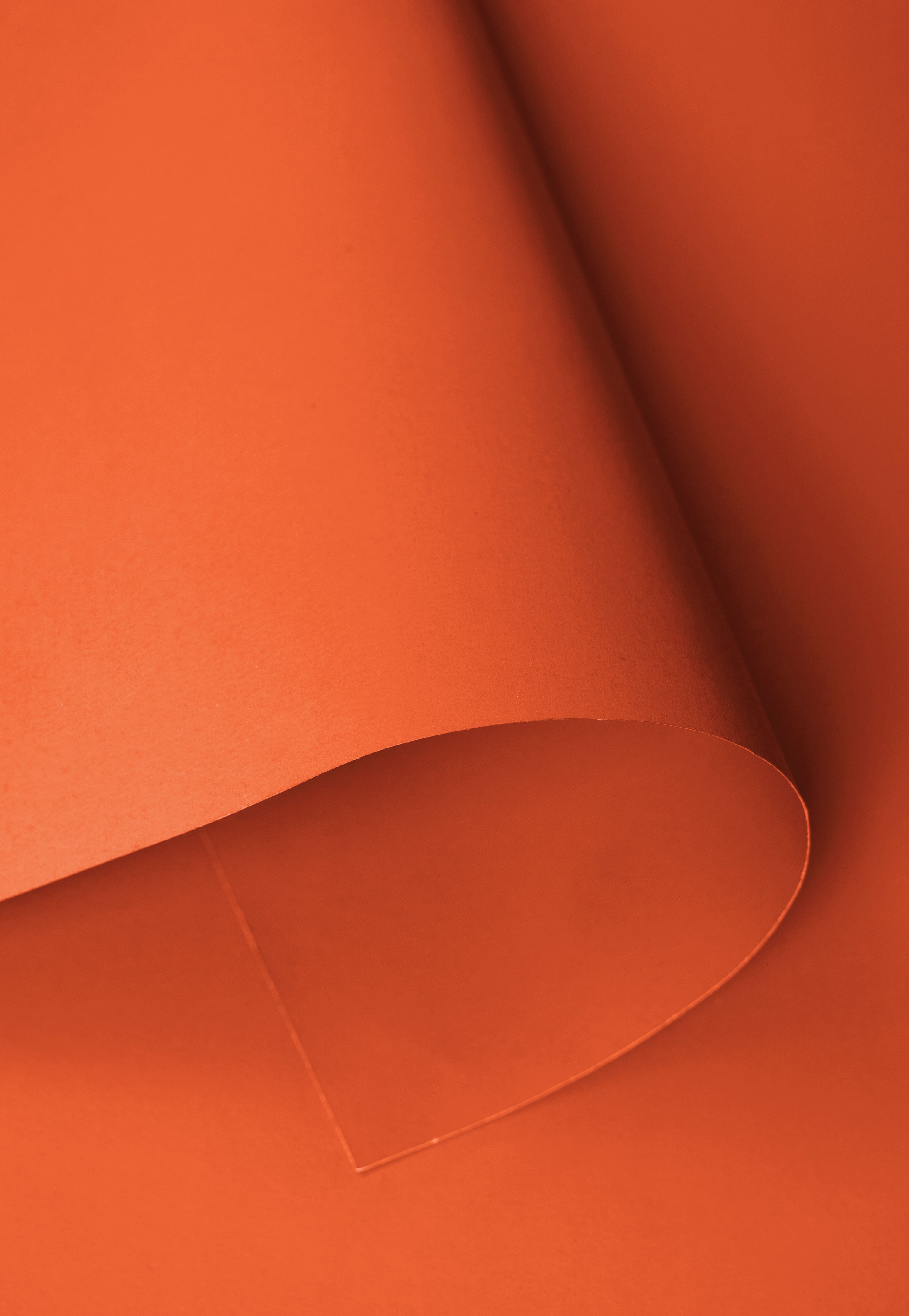 Kate Bright Orange Seamless Paper Backdrop for Photography -UK