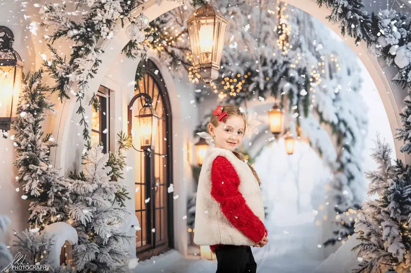 Kate Winter Snowy Christmas Arch Hallway Backdrop Designed by Emetselch -UK