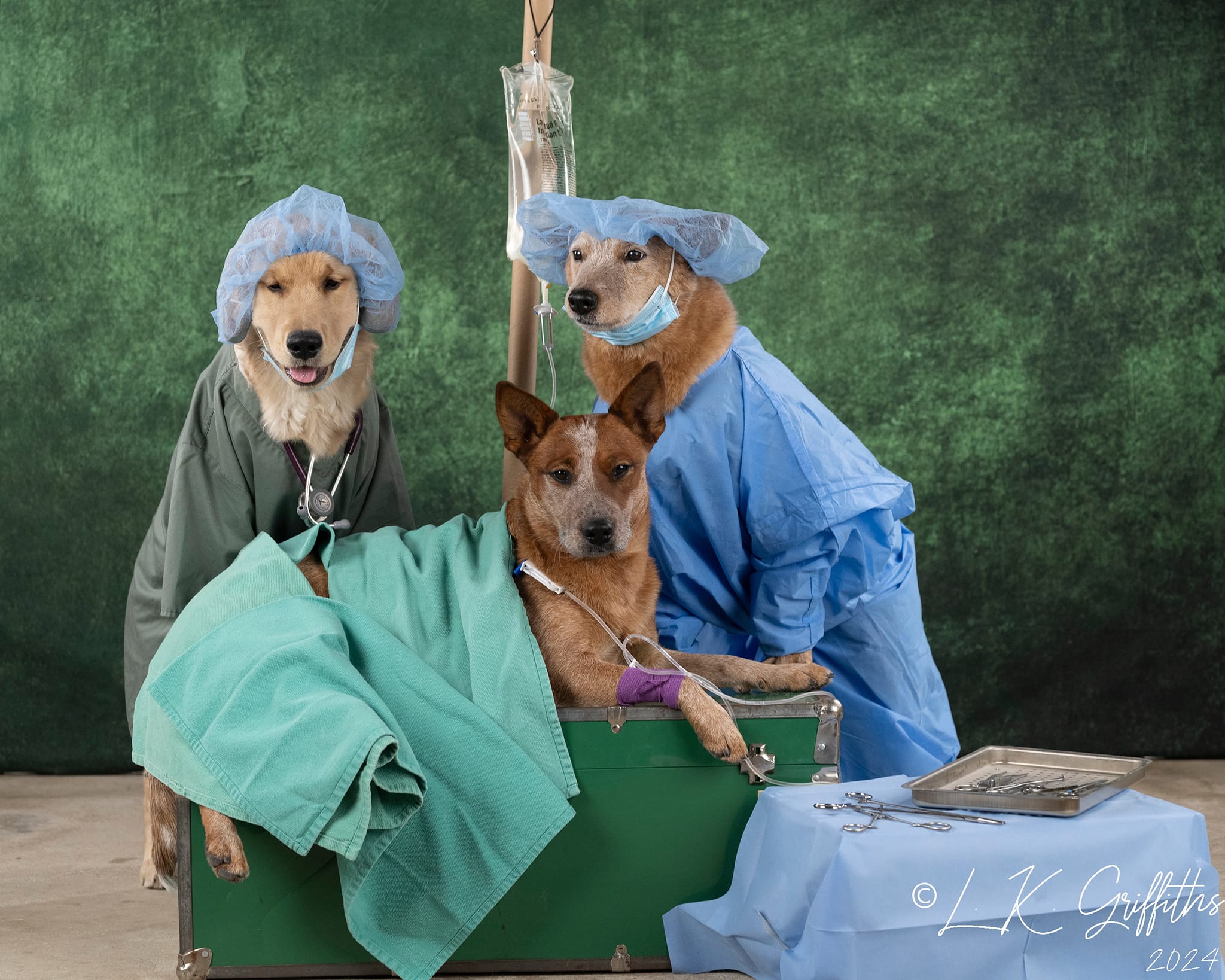 Kate Dark Green Abstract Backdrop Designed by Kate Image -UK