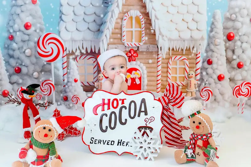 Kate Christmas Winter Snow Candy House Backdrop Designed by Chain Photography