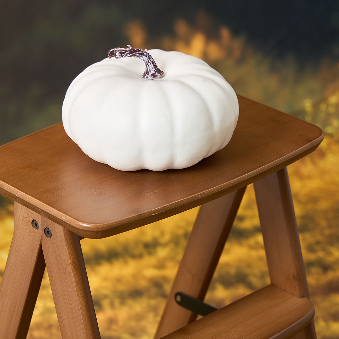 Kate Autumn Park Garden Photo Kit -UK