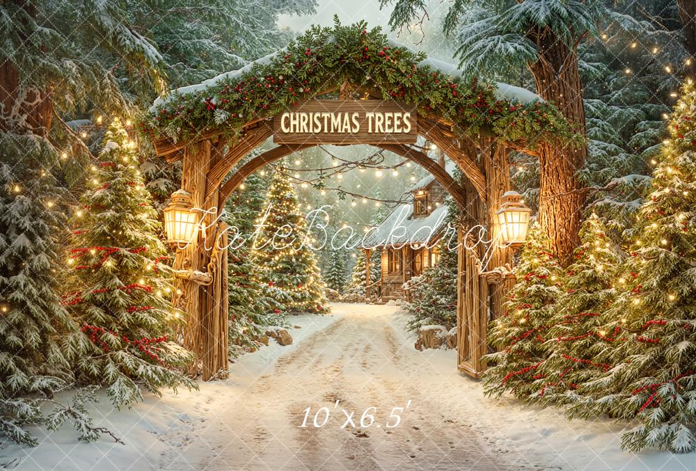 Kate Christmas Archway Snowy Trees Lanterns Fleece Backdrop Designed by Emetselch