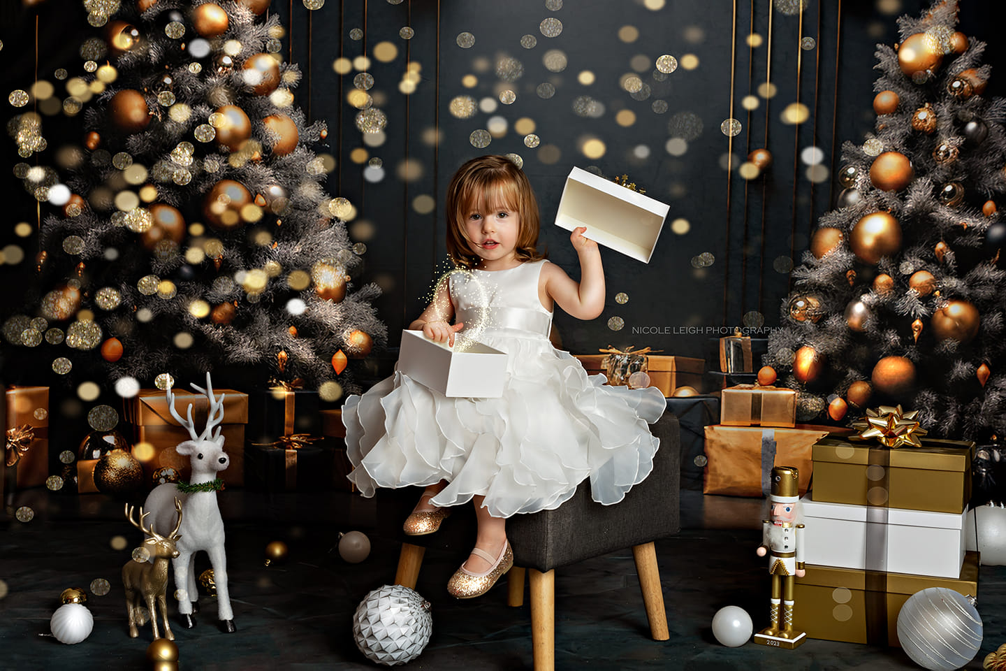 Kate Dark Christmas Tree Wall Backdrop Designed by Lidia Redekopp