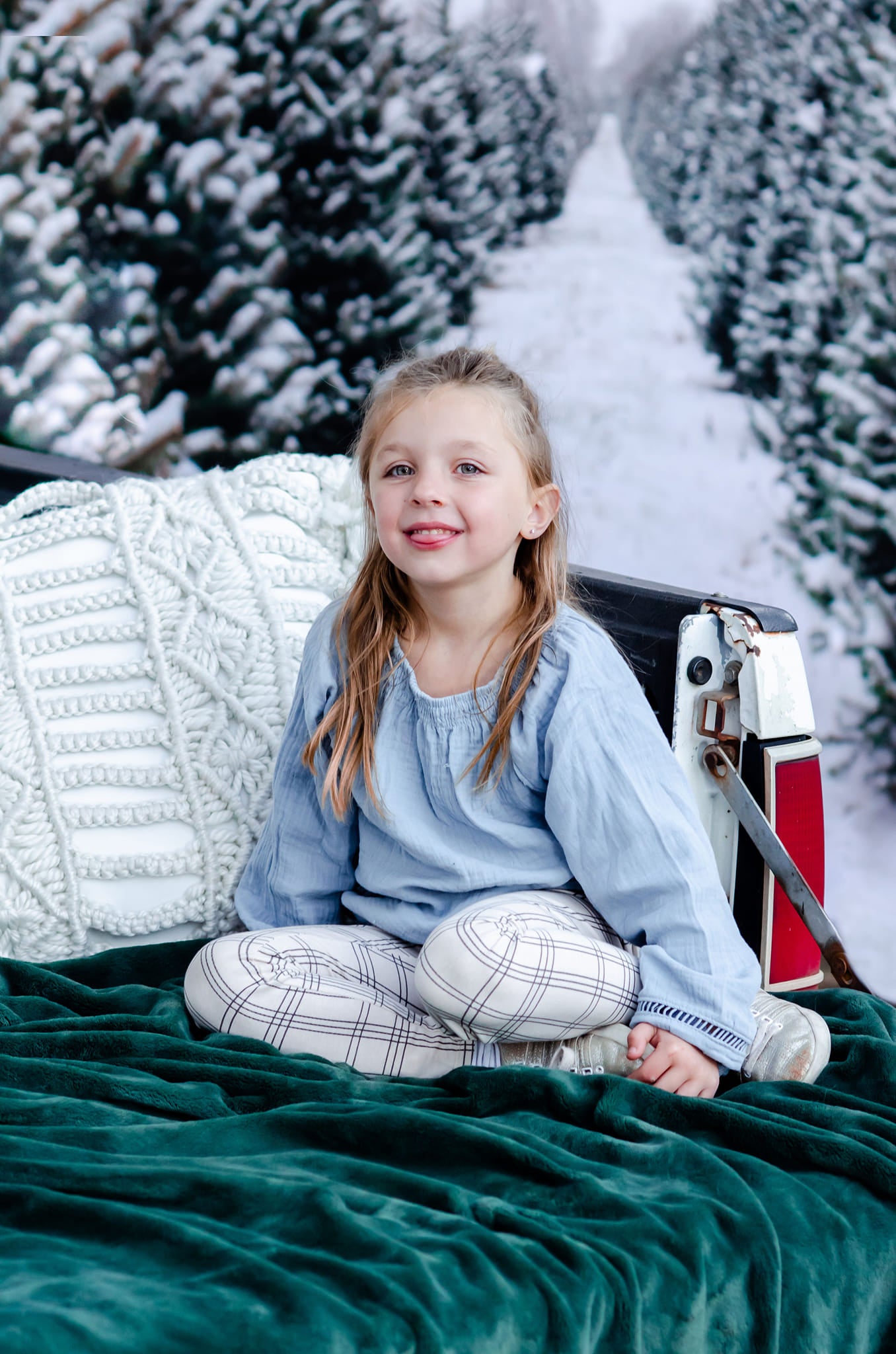 Kate Christmas Pines Tree Farm Path Backdrop for Photography -UK