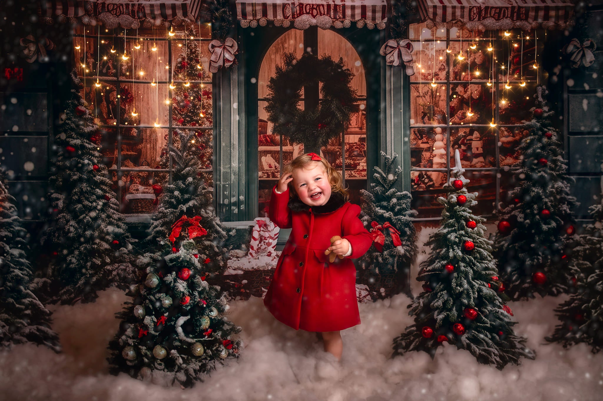 Kate Christmas Snow Cabin Backdrop for Photography