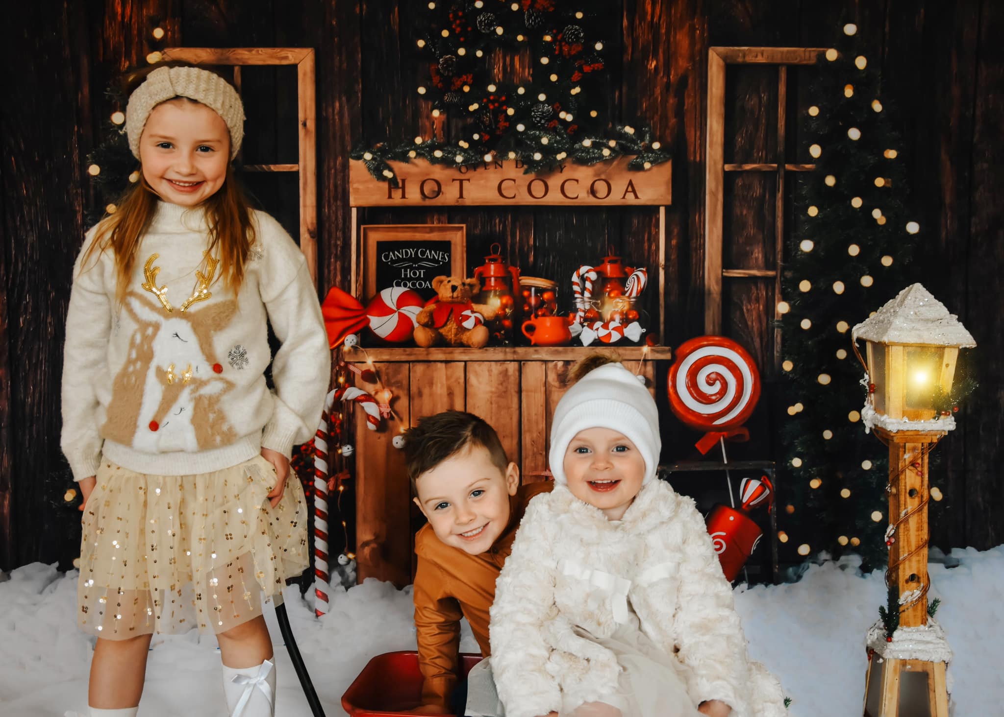 Kate Christmas Hot Cocoa Wooden Winter Backdrop Designed by Emetselch -UK