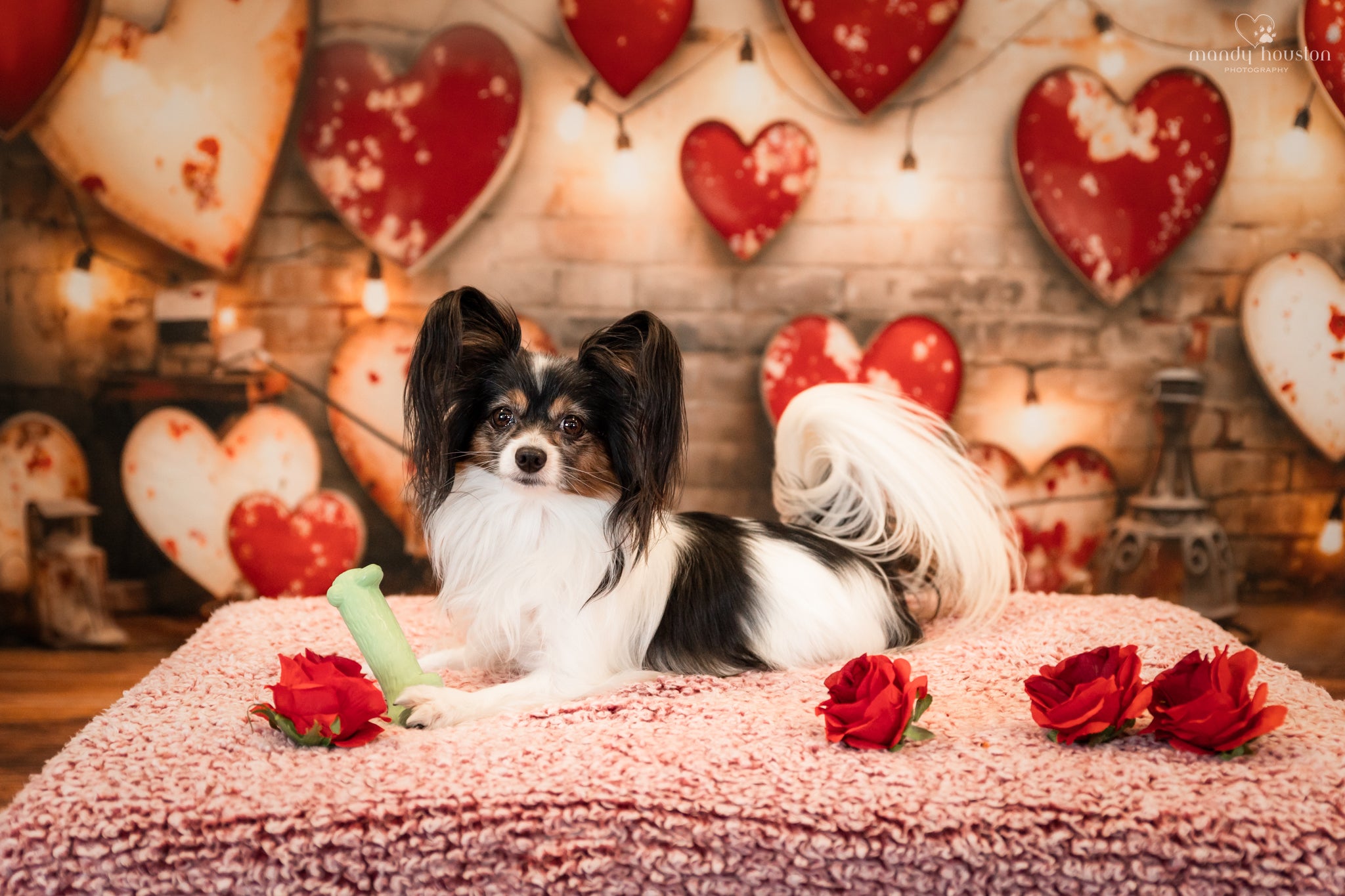 Kate Valentine's Day Retro Lamp Wall Love Backdrop Designed by Emetselch -UK