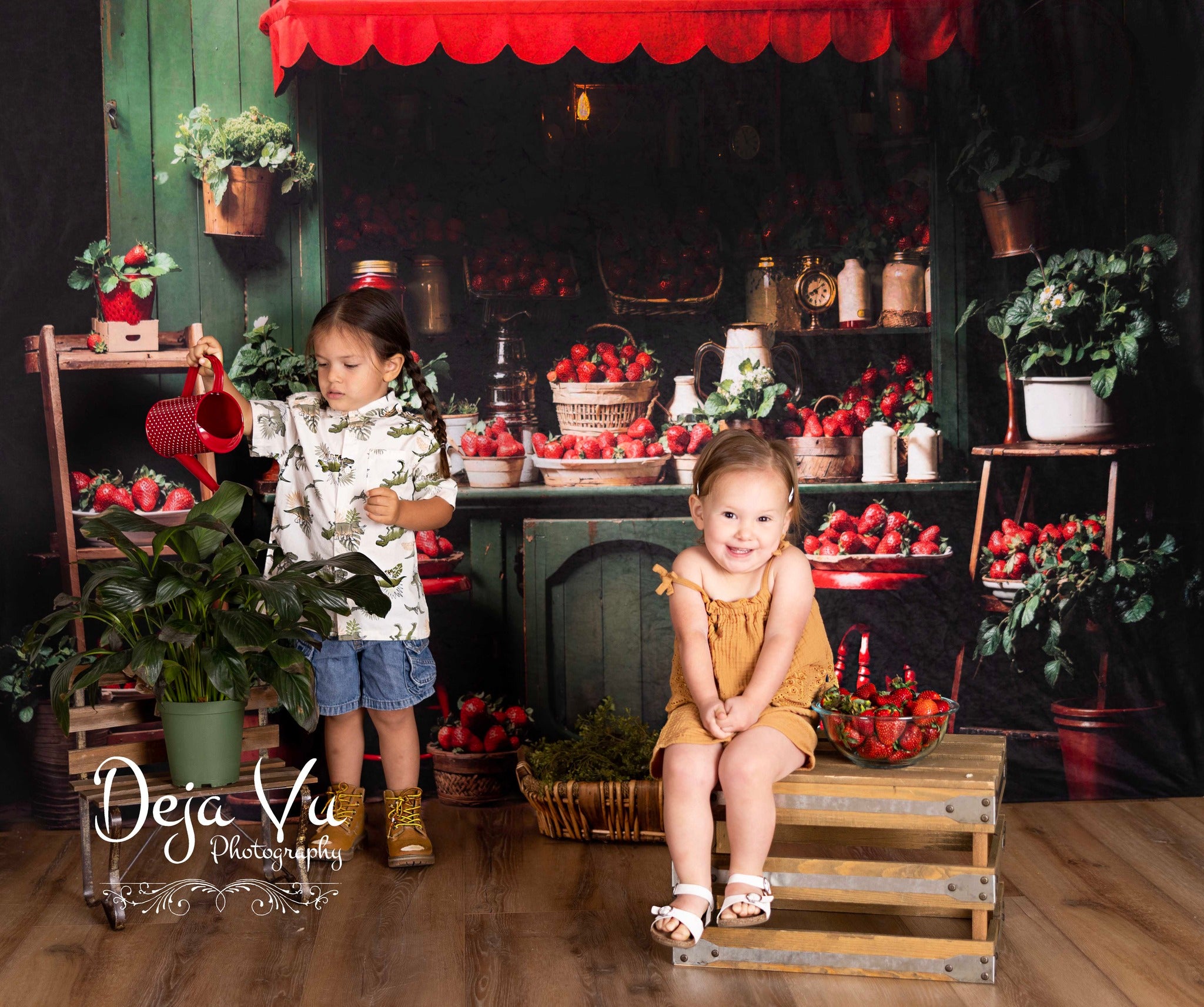 Kate Spring Strawberry Green House Backdrop Designed by Emetselch -UK
