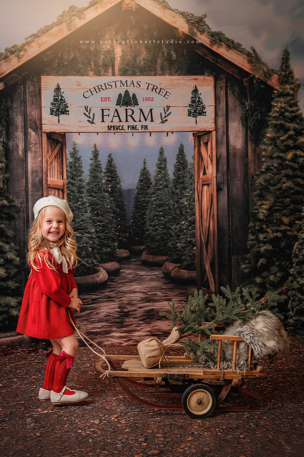 Lightning Deals Kate Christmas Tree Farm Entrance Backdrop for Photography -UK
