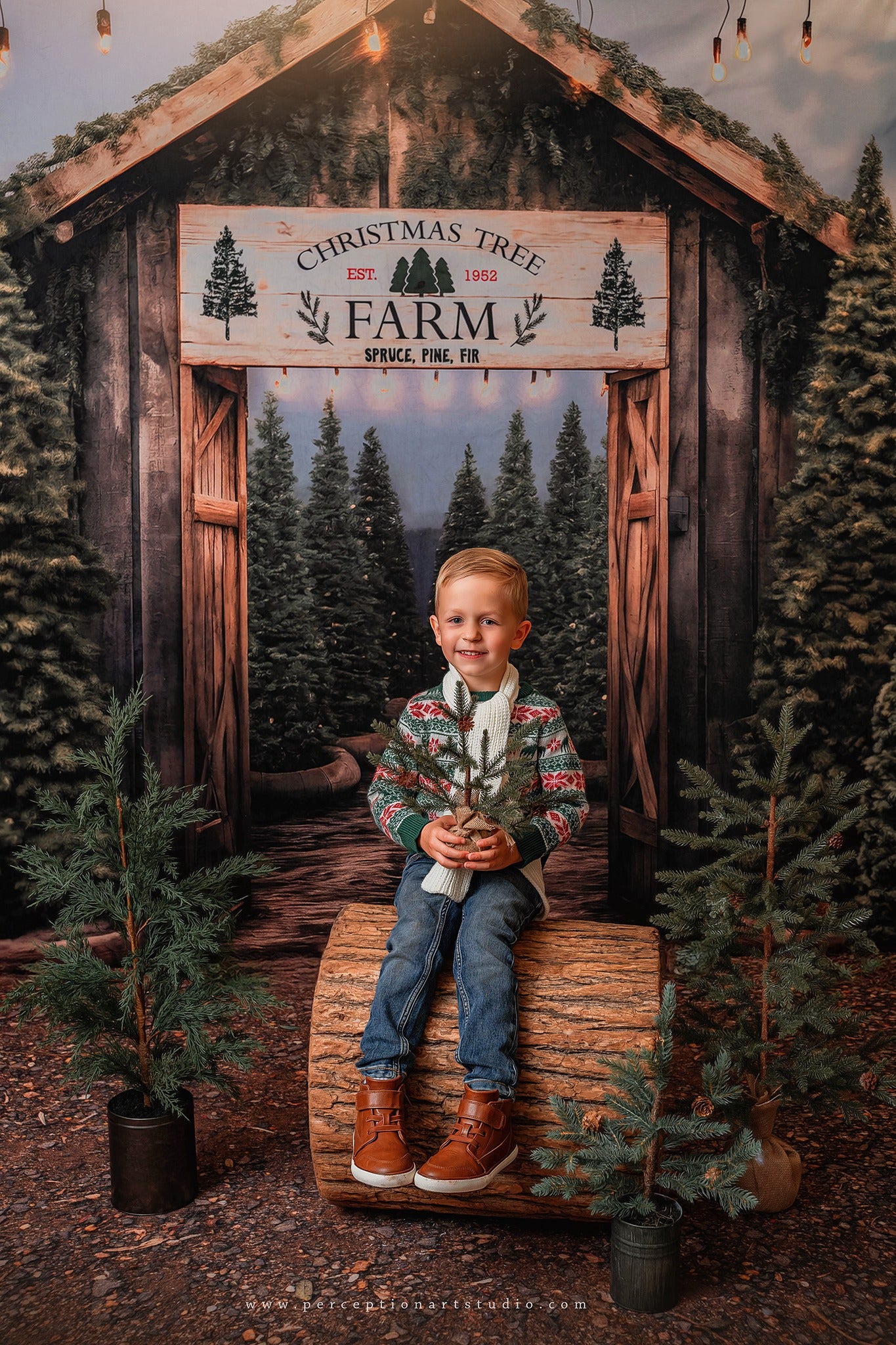 Lightning Deals Kate Christmas Tree Farm Entrance Backdrop for Photography -UK