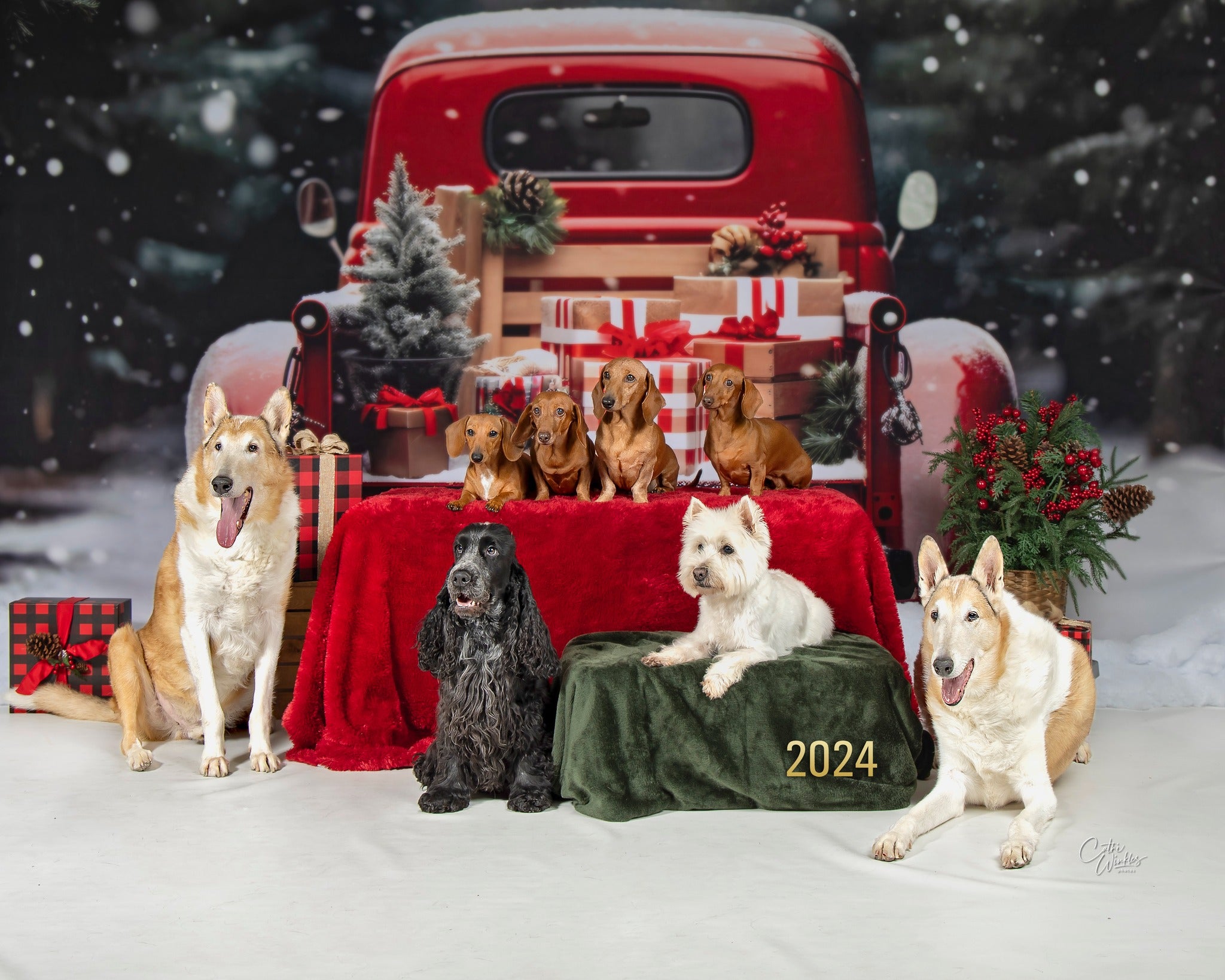 Kate Christmas Snowy Red Car Gifts Backdrop for Photography -UK
