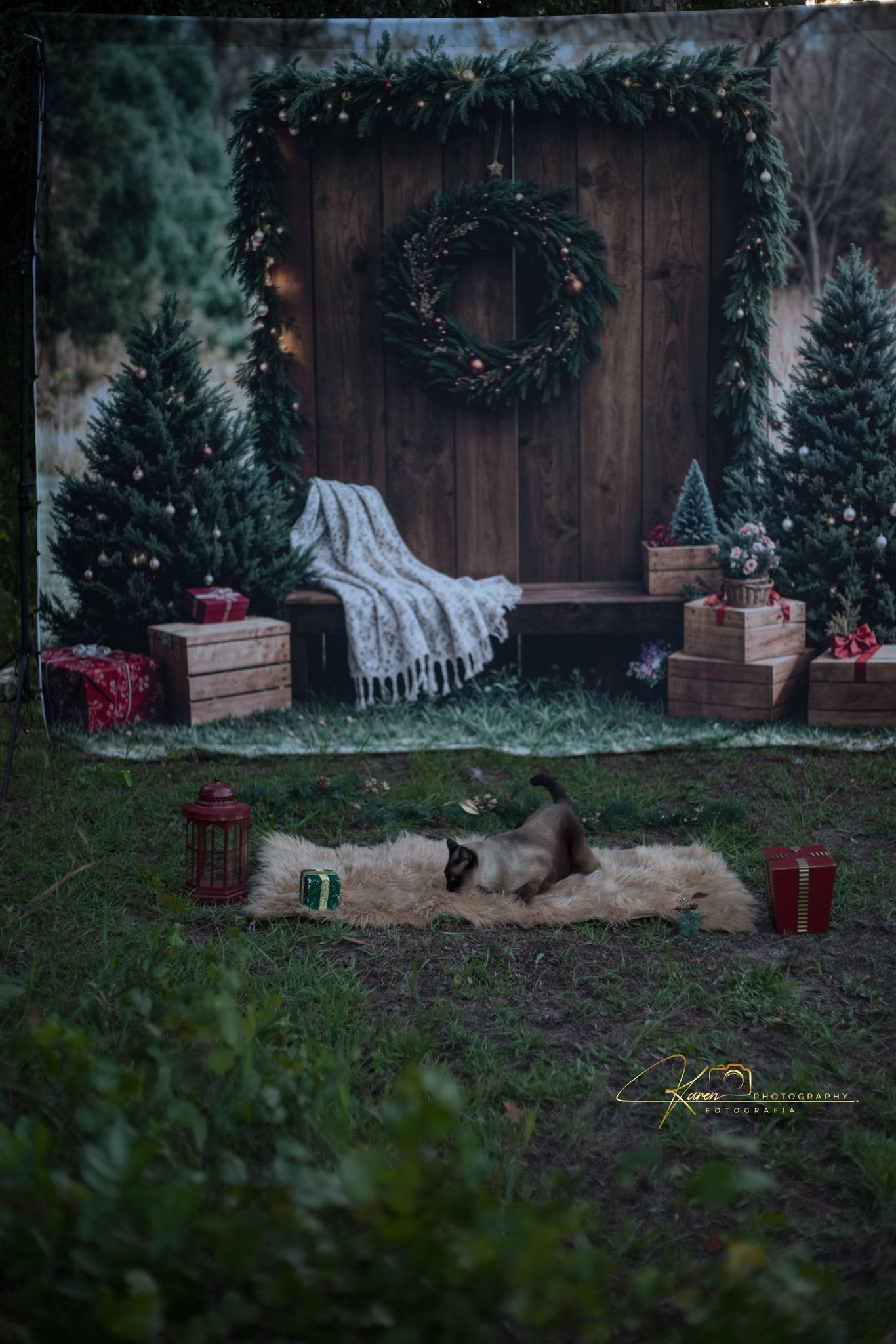 On Sale Kate Christmas Forest Rustic Wooden Barn Backdrop Designed by Emetselch -UK