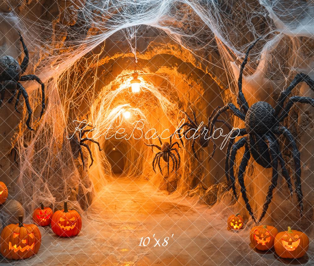 Kate Halloween Spider Web Pumpkins Tunnel Fleece Backdrop Designed by Emetselch -UK