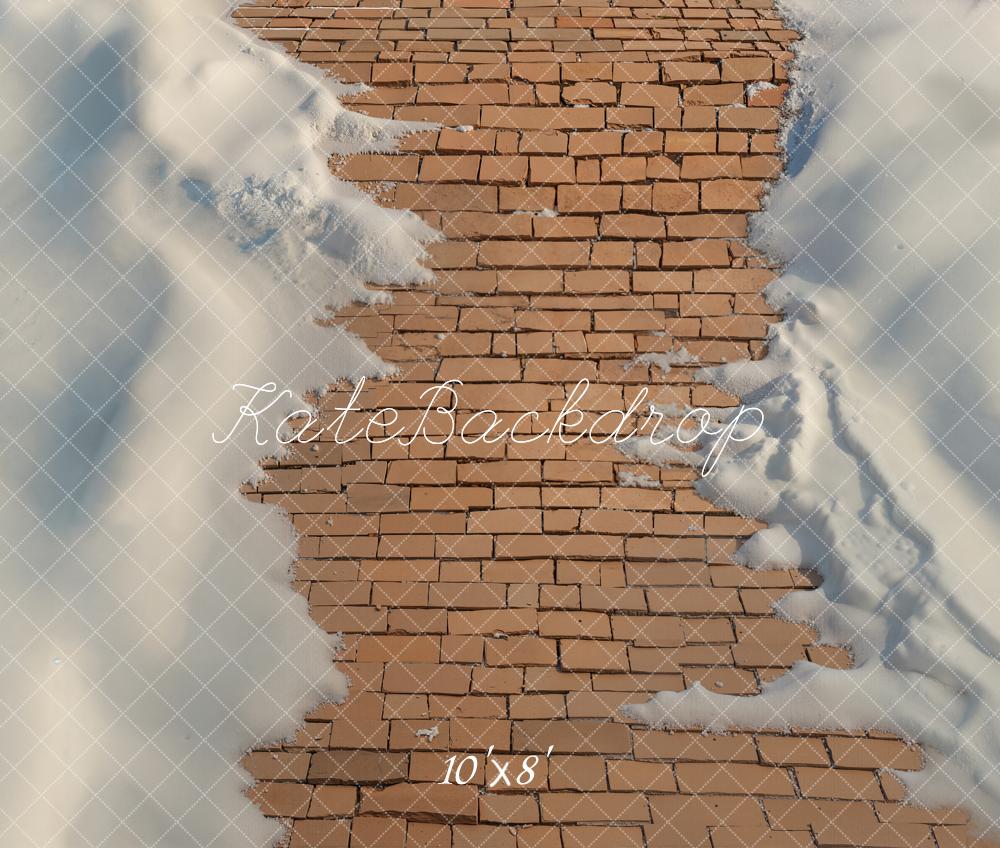 Kate Cobblestone Path Snow Fleece Backdrop Designed by Emetselch