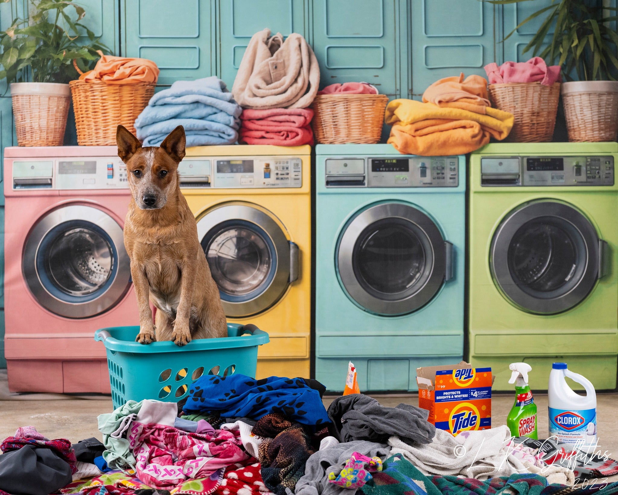 Kate Laundry Day Colorful Washing Machine Backdrop Designed by Chain Photography -UK