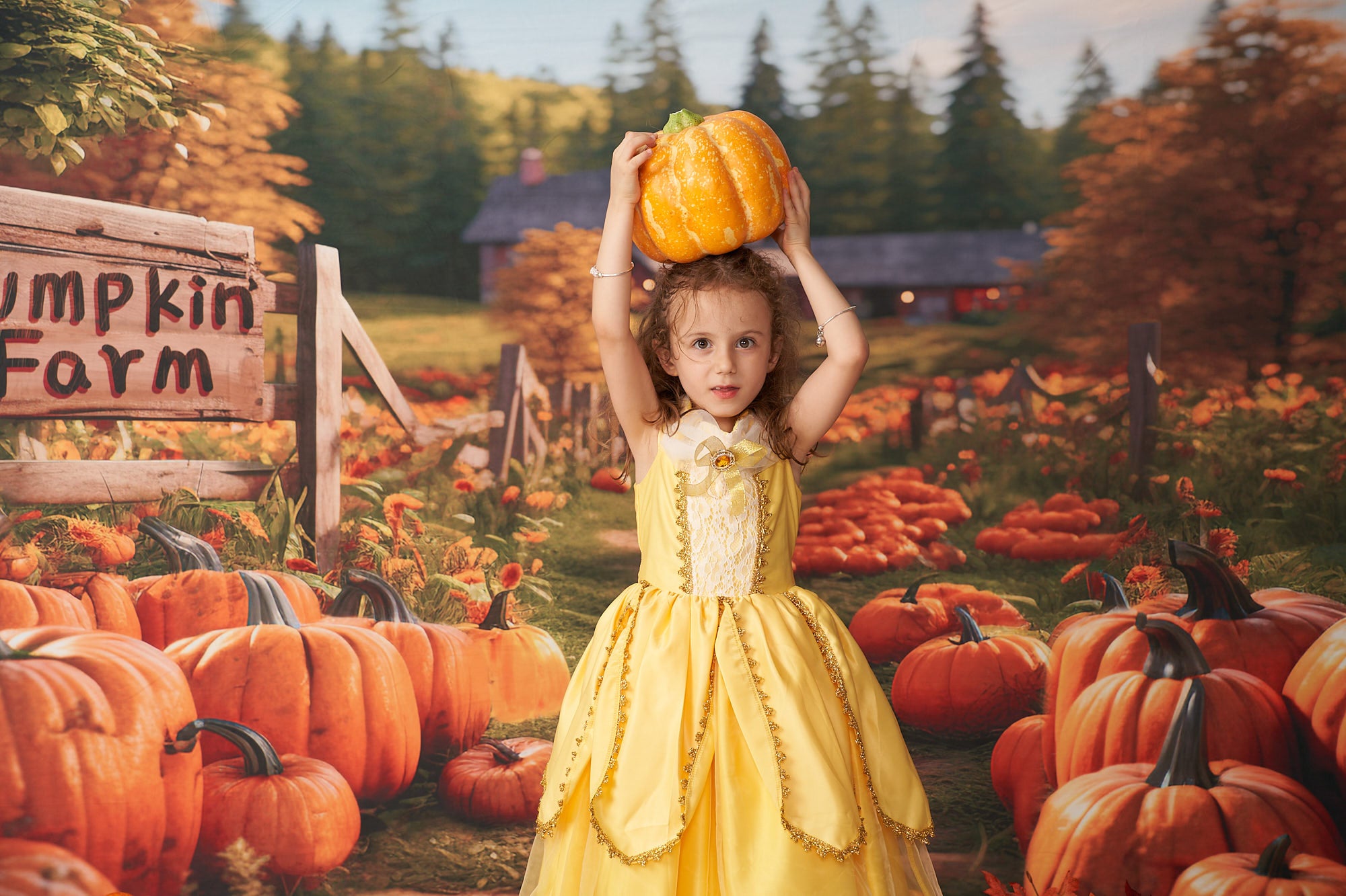 Kate Autumn Pumpkin Farm Backdrop Designed by Emetselch -UK