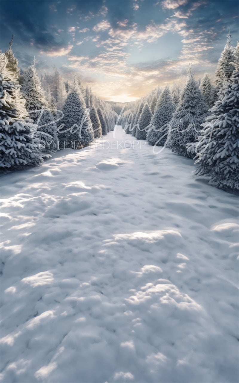 Kate Winter Frosty Forest Sweep Designed by Lidia Redekopp -UK