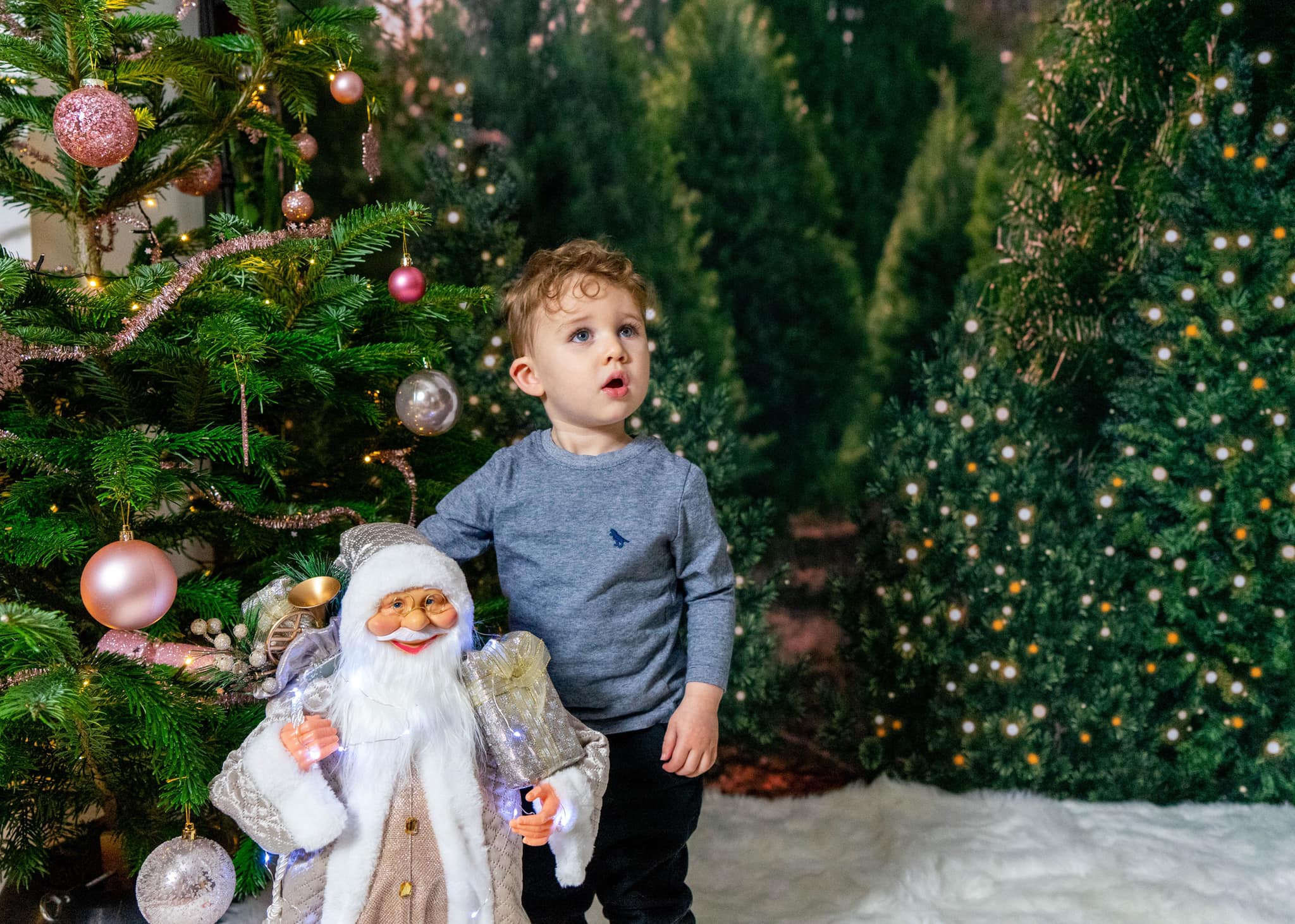 Kate Christmas Trees Forest Backdrop for Photography -UK